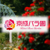1,600品種 10,000株のバラが咲く 京成バラ園